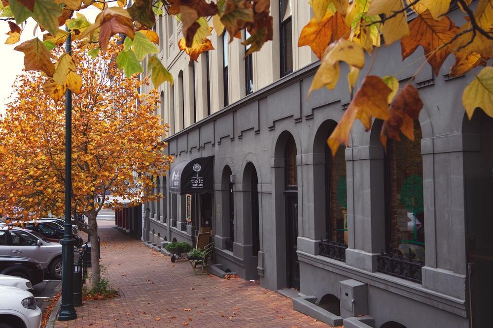 The Terminus Apartment Dunedin Exterior photo